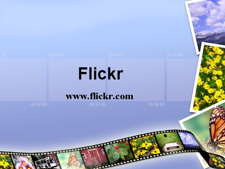 Flickr www. flickr. com 