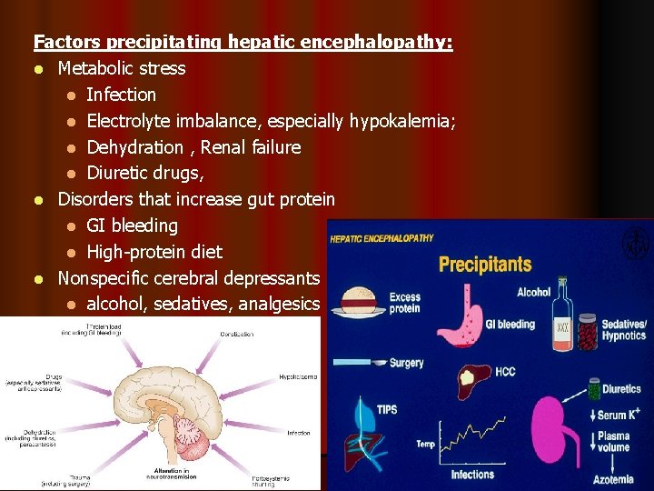 Factors precipitating hepatic encephalopathy: l Metabolic stress l Infection l Electrolyte imbalance, especially hypokalemia;