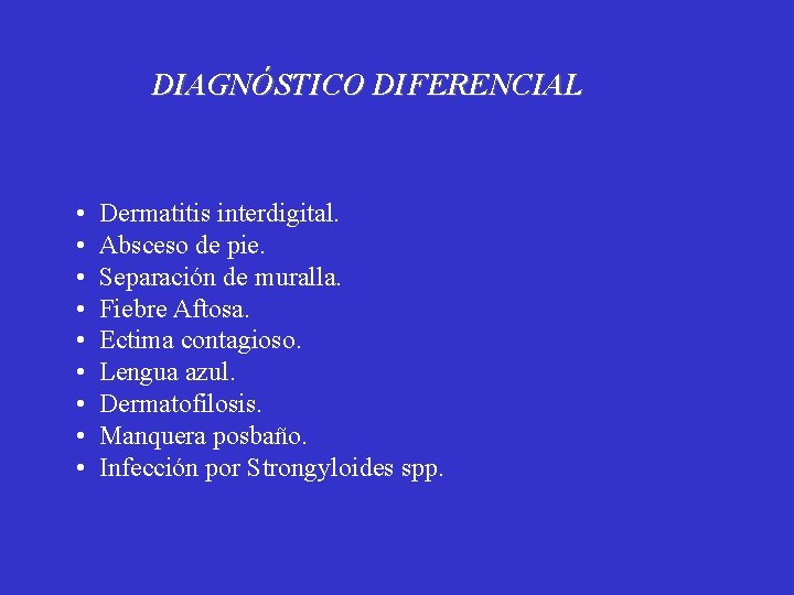 DIAGNÓSTICO DIFERENCIAL • • • Dermatitis interdigital. Absceso de pie. Separación de muralla. Fiebre