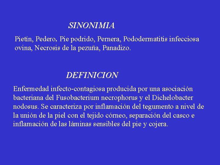 SINONIMIA Pietín, Pedero, Pie podrido, Pernera, Pododermatitis infecciosa ovina, Necrosis de la pezuña, Panadizo.