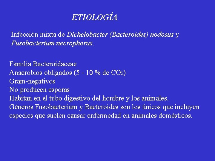 ETIOLOGÍA Infección mixta de Dichelobacter (Bacteroides) nodosus y Fusobacterium necrophorus. Familia Bacteroidaceae Anaerobios obligados