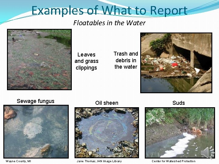 Examples of What to Report Floatables in the Water Leaves and grass clippings Sewage