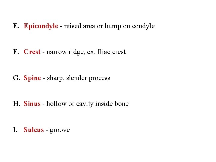 E. Epicondyle - raised area or bump on condyle F. Crest - narrow ridge,