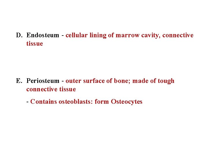 D. Endosteum - cellular lining of marrow cavity, connective tissue E. Periosteum - outer