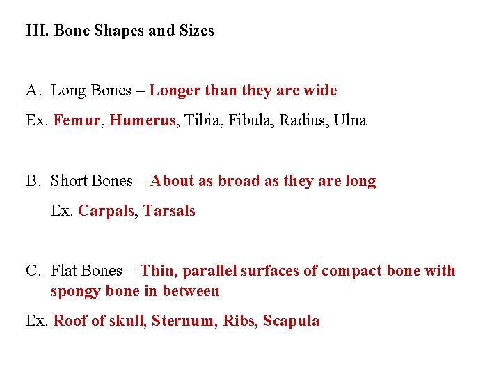 III. Bone Shapes and Sizes A. Long Bones – Longer than they are wide