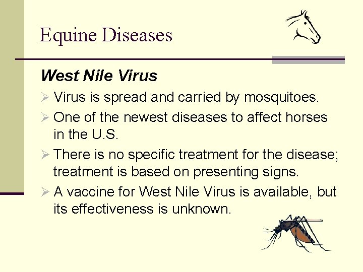 Equine Diseases West Nile Virus Ø Virus is spread and carried by mosquitoes. Ø
