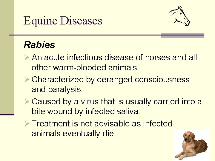 Equine Diseases Rabies Ø An acute infectious disease of horses and all other warm-blooded