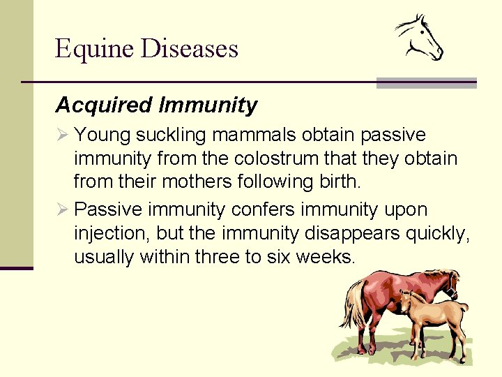 Equine Diseases Acquired Immunity Ø Young suckling mammals obtain passive immunity from the colostrum
