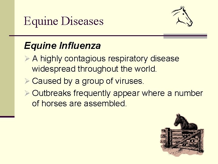 Equine Diseases Equine Influenza Ø A highly contagious respiratory disease widespread throughout the world.