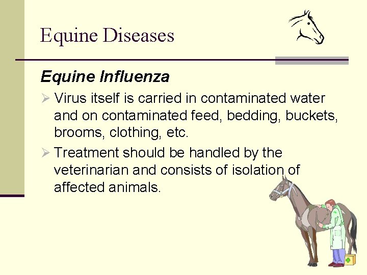 Equine Diseases Equine Influenza Ø Virus itself is carried in contaminated water and on