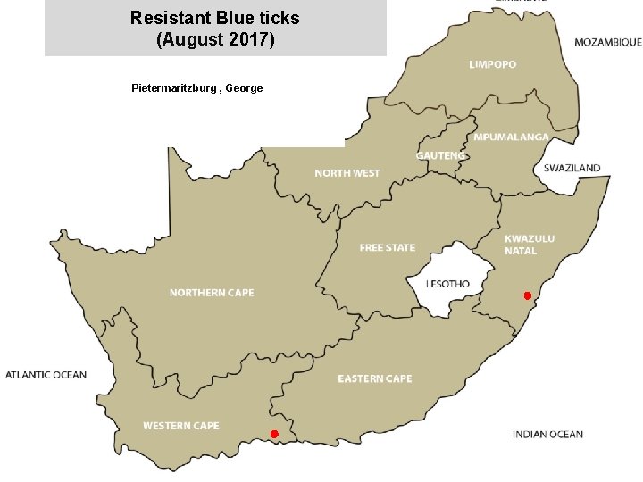 Resistant Blue ticks (August 2017) Pietermaritzburg , George jkccff 