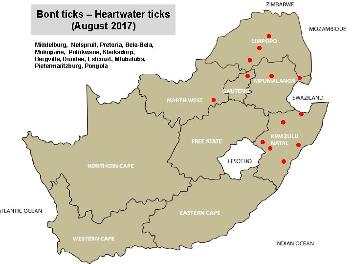 Bont ticks – Heartwater ticks (August 2017) jkccff Middelburg, Nelspruit, Pretoria, Bela-Bela, Mokopane, Polokwane,