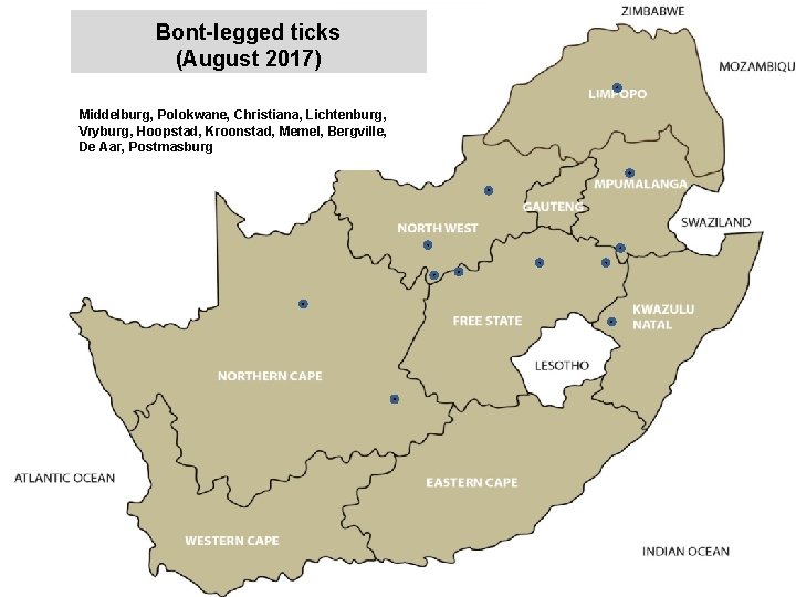 Bont-legged ticks (August 2017) jkccff Middelburg, Polokwane, Christiana, Lichtenburg, Vryburg, Hoopstad, Kroonstad, Memel, Bergville,