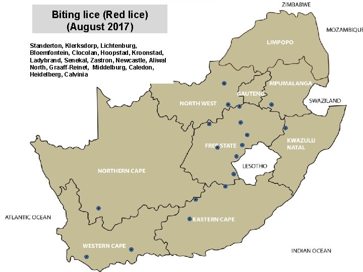 Biting lice (Red lice) (August 2017) jkccff Standerton, Klerksdorp, Lichtenburg, Bloemfontein, Clocolan, Hoopstad, Kroonstad,