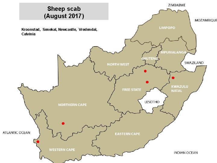 Sheep scab (August 2017) jkccff Kroonstad, Senekal, Newcastle, Vredendal, Calvinia 