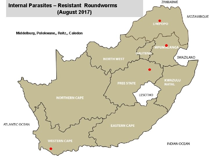 Internal Parasites – Resistant Roundworms (August 2017) jkccff Middelburg, Polokwane, , Reitz, , Caledon