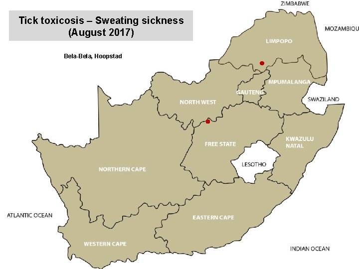Tick toxicosis – Sweating sickness (August 2017) Bela-Bela, Hoopstad 