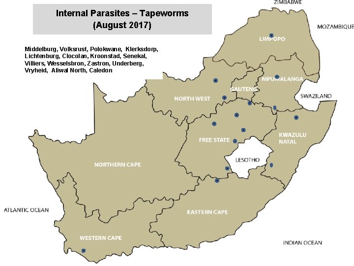 Internal Parasites – Tapeworms (August 2017) jkccff Middelburg, Volksrust, Polokwane, Klerksdorp, Lichtenburg, Clocolan, Kroonstad,