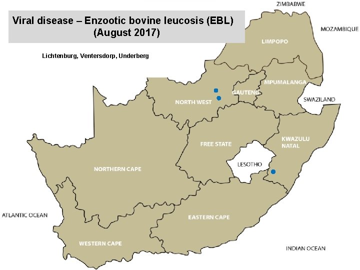 Viral disease – Enzootic bovine leucosis (EBL) (August 2017) kjkjnmn Lichtenburg, Ventersdorp, Underberg 