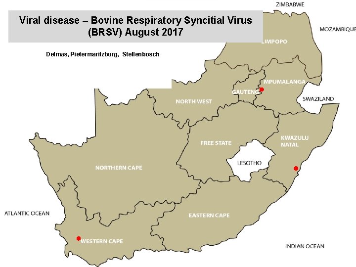 Viral disease – Bovine Respiratory Syncitial Virus (BRSV) August 2017 kjkjnmn Delmas, Pietermaritzburg, Stellenbosch