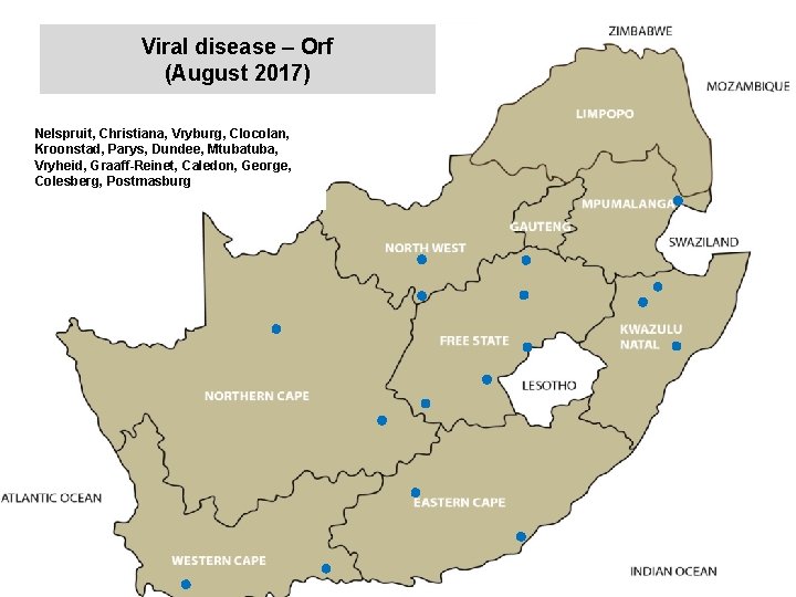 Viral disease – Orf (August 2017) kjkjnmn Nelspruit, Christiana, Vryburg, Clocolan, Kroonstad, Parys, Dundee,