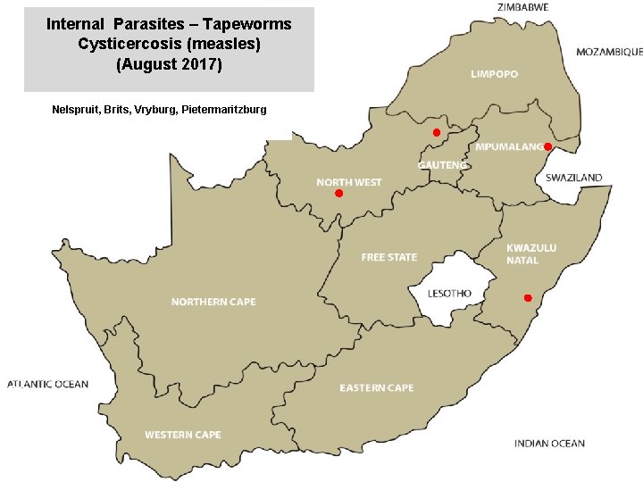 Internal Parasites – Tapeworms Cysticercosis (measles) (August 2017) jkccff Nelspruit, Brits, Vryburg, Pietermaritzburg 00