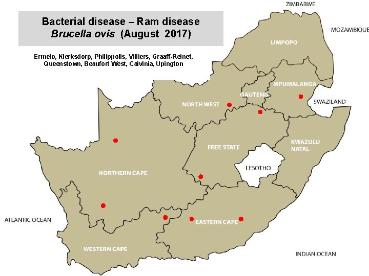 Bacterial disease – Ram disease Brucella ovis (August 2017) kjkjnmn Ermelo, Klerksdorp, Philippolis, Villiers,