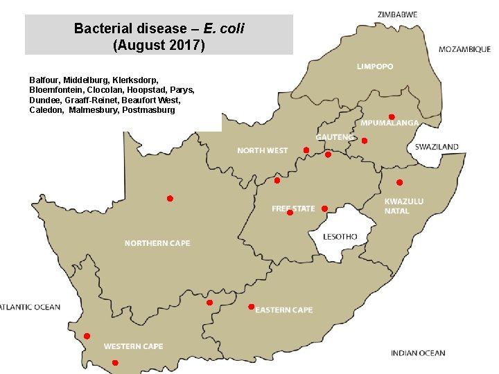 Bacterial disease – E. coli (August 2017) kjkjnmn Balfour, Middelburg, Klerksdorp, Bloemfontein, Clocolan, Hoopstad,