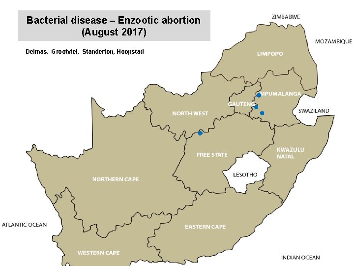 Bacterial disease – Enzootic abortion (August 2017) kjkjnmn Delmas, Grootvlei, Standerton, Hoopstad 