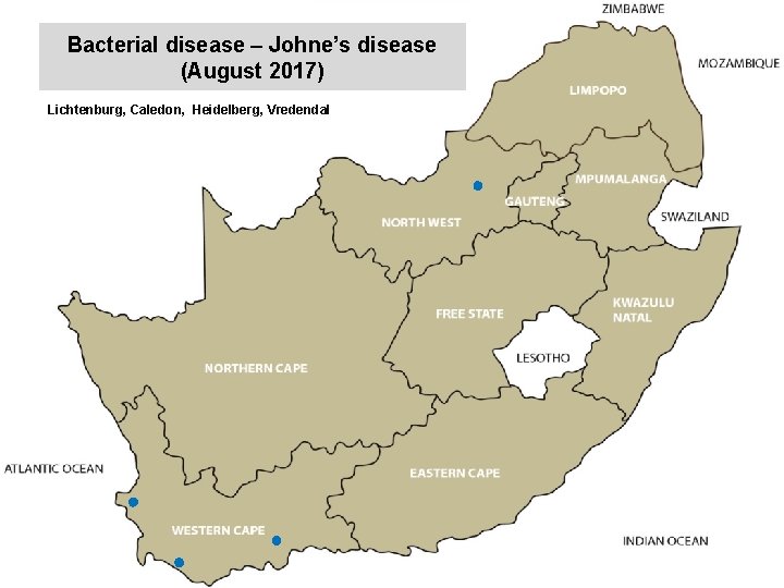 Bacterial disease – Johne’s disease (August 2017) kjkjnmn Lichtenburg, Caledon, Heidelberg, Vredendal 