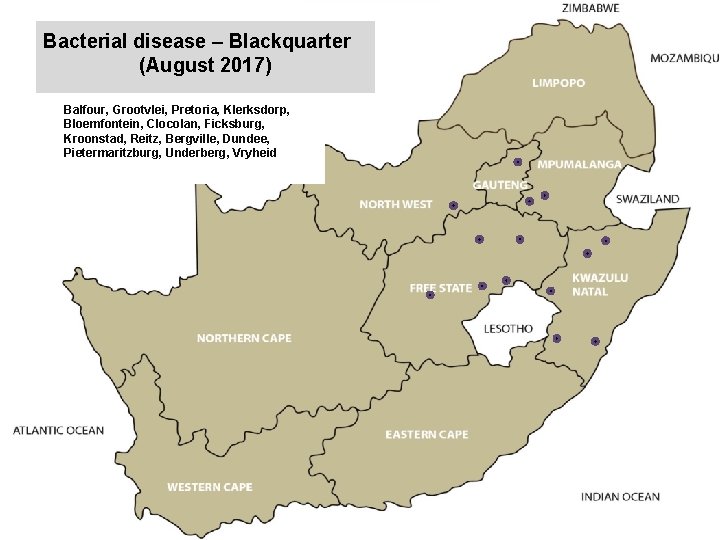 Bacterial disease – Blackquarter (August 2017) kjkjnmn Balfour, Grootvlei, Pretoria, Klerksdorp, Bloemfontein, Clocolan, Ficksburg,