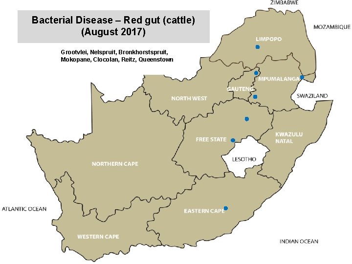 Bacterial Disease – Red gut (cattle) (August 2017) kjkjnmn Grootvlei, Nelspruit, Bronkhorstspruit, Mokopane, Clocolan,