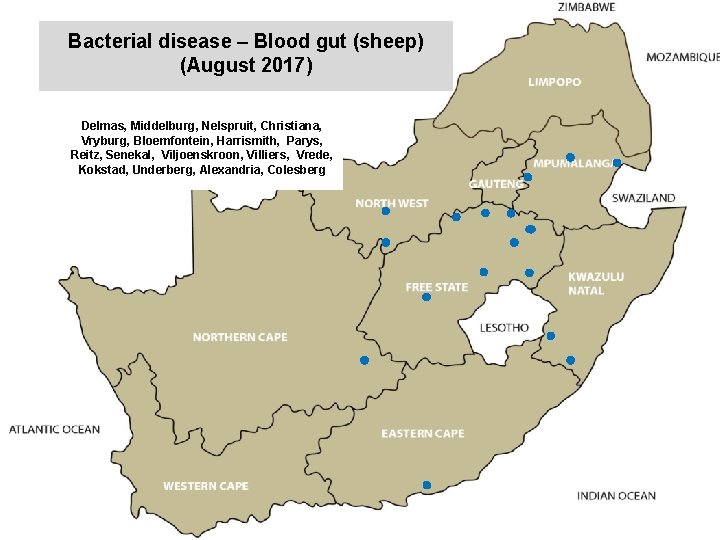 Bacterial disease – Blood gut (sheep) (August 2017) kjkjnmn Delmas, Middelburg, Nelspruit, Christiana, Vryburg,