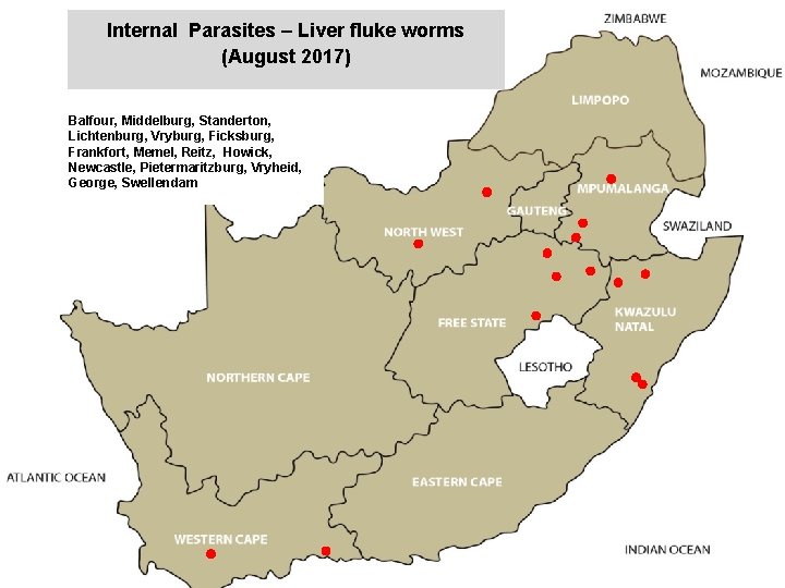 Internal Parasites – Liver fluke worms (August 2017) jkccff Balfour, Middelburg, Standerton, Lichtenburg, Vryburg,