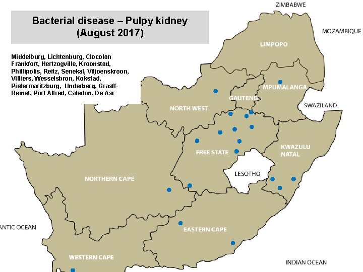 Bacterial disease – Pulpy kidney (August 2017) kjkjnmn Middelburg, Lichtenburg, Clocolan Frankfort, Hertzogville, Kroonstad,