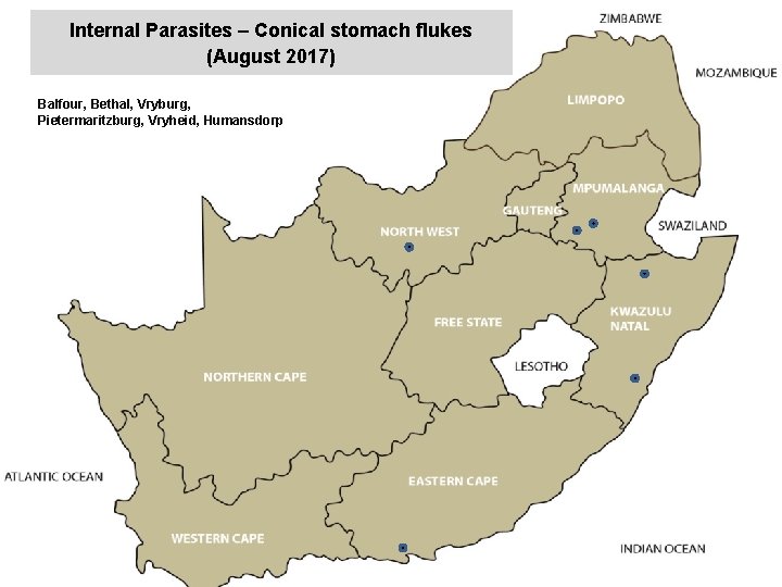 Internal Parasites – Conical stomach flukes (August 2017) Balfour, Bethal, Vryburg, Pietermaritzburg, Vryheid, Humansdorp