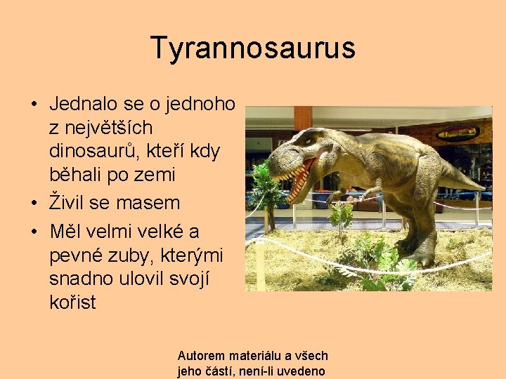 Tyrannosaurus • Jednalo se o jednoho z největších dinosaurů, kteří kdy běhali po zemi