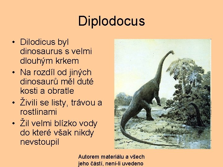 Diplodocus • Dilodicus byl dinosaurus s velmi dlouhým krkem • Na rozdíl od jiných