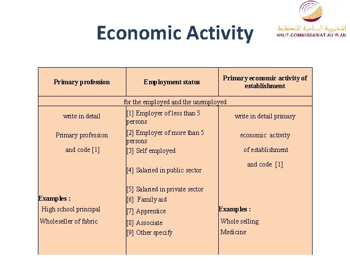 Economic Activity Primary profession Employment status Primary economic activity of establishment for the employed