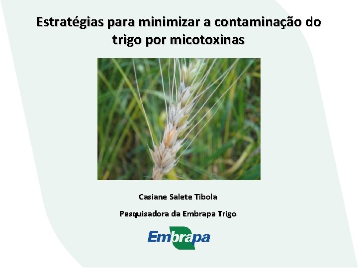 Estratégias para minimizar a contaminação do trigo por micotoxinas Casiane Salete Tibola Pesquisadora da