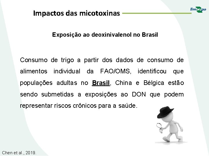 Impactos das micotoxinas Exposição ao deoxinivalenol no Brasil Consumo de trigo a partir dos