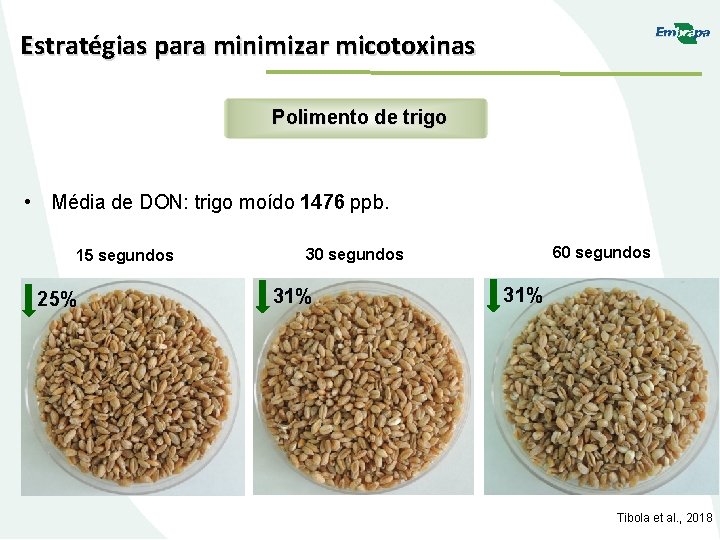 Estratégias para minimizar micotoxinas Polimento de trigo • Média de DON: trigo moído 1476