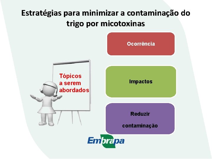 Estratégias para minimizar a contaminação do trigo por micotoxinas Ocorrência Tópicos a serem abordados