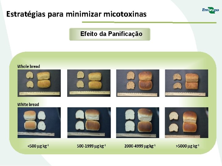 Estratégias para minimizar micotoxinas Efeito da Panificação 