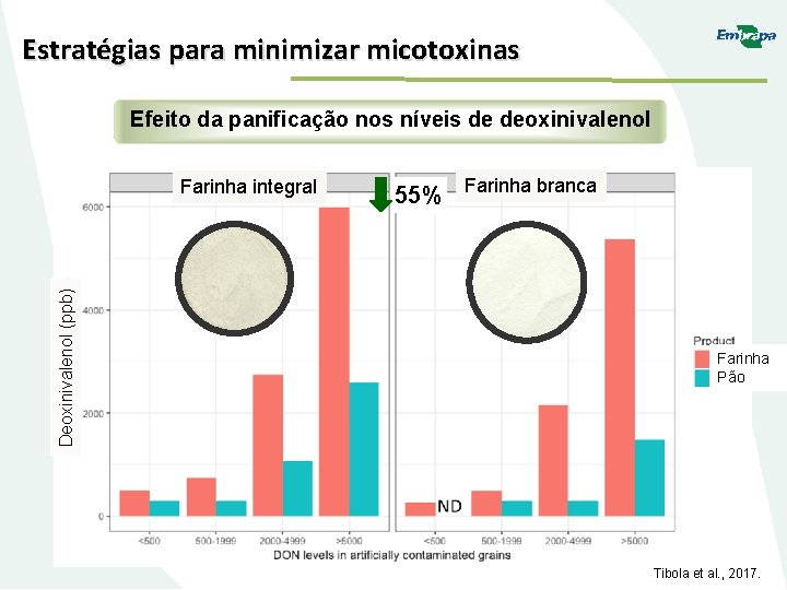 Estratégias para minimizar micotoxinas Efeito da panificação nos níveis de deoxinivalenol Deoxinivalenol (ppb) Farinha