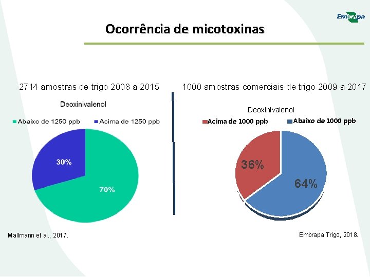 Ocorrência de micotoxinas 2714 amostras de trigo 2008 a 2015 1000 amostras comerciais de