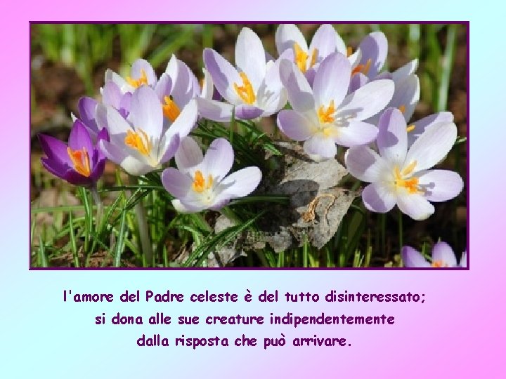 l'amore del Padre celeste è del tutto disinteressato; si dona alle sue creature indipendentemente