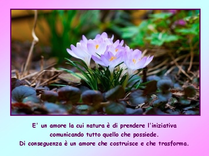 E' un amore la cui natura è di prendere l'iniziativa comunicando tutto quello che