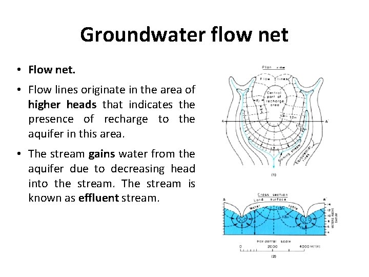 Groundwater flow net • Flow net. • Flow lines originate in the area of