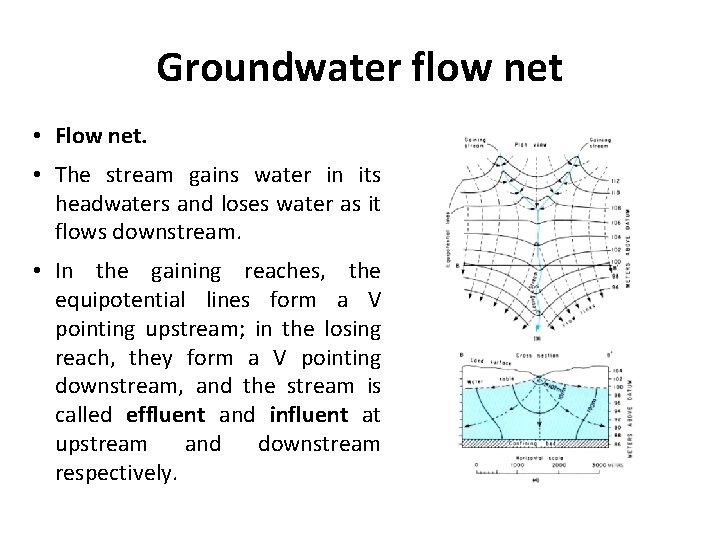 Groundwater flow net • Flow net. • The stream gains water in its headwaters